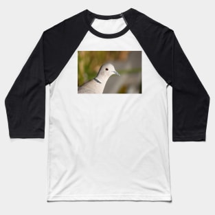 Eurasian collared dove (Streptopelia decaocto) head close-up Baseball T-Shirt